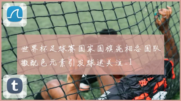 世界杯足球赛国家国旗亮相各国队徽配色元素引发球迷关注_1