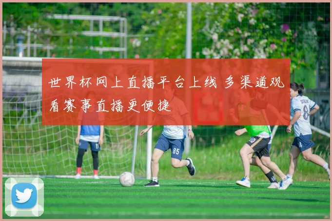 世界杯网上直播平台上线 多渠道观看赛事直播更便捷