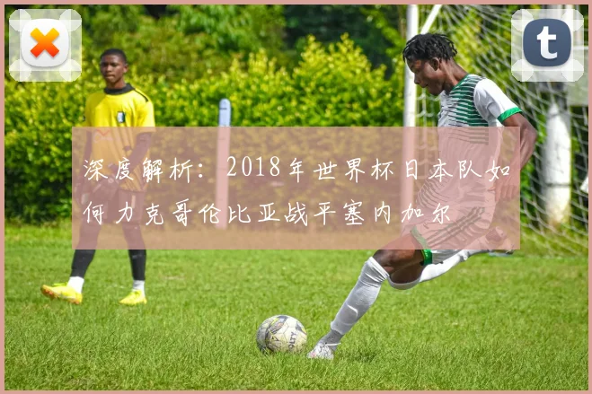 深度解析：2018年世界杯日本队如何力克哥伦比亚战平塞内加尔