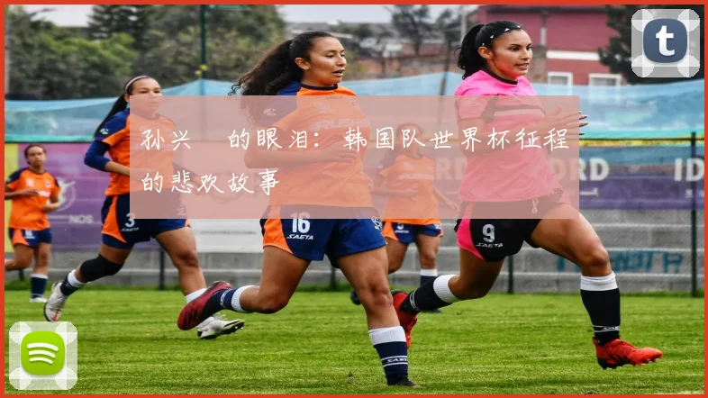 孙兴慜的眼泪：韩国队世界杯征程的悲欢故事