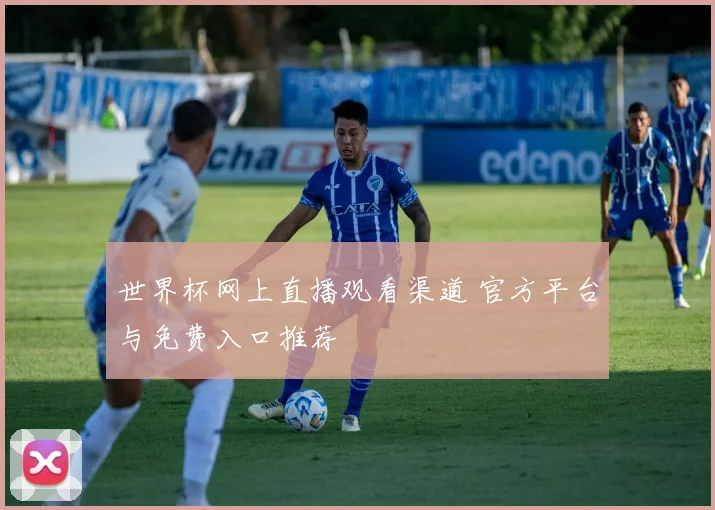 世界杯网上直播观看渠道 官方平台与免费入口推荐