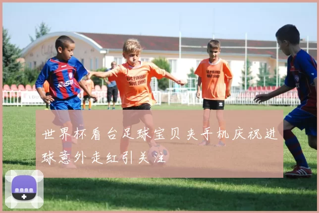 世界杯看台足球宝贝夹手机庆祝进球意外走红引关注