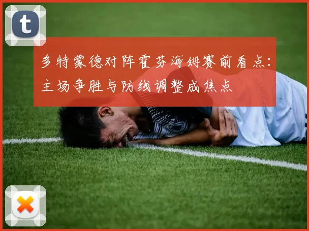 多特蒙德对阵霍芬海姆赛前看点：主场争胜与防线调整成焦点