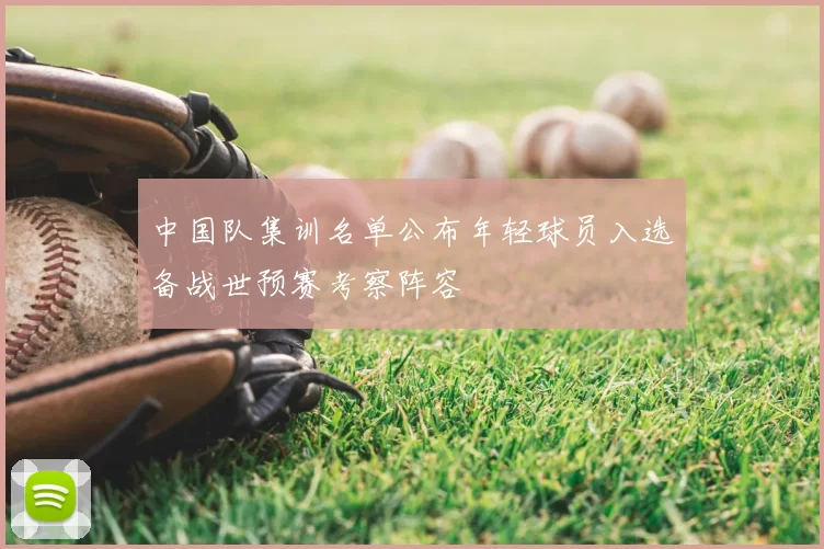 中国队集训名单公布年轻球员入选备战世预赛考察阵容