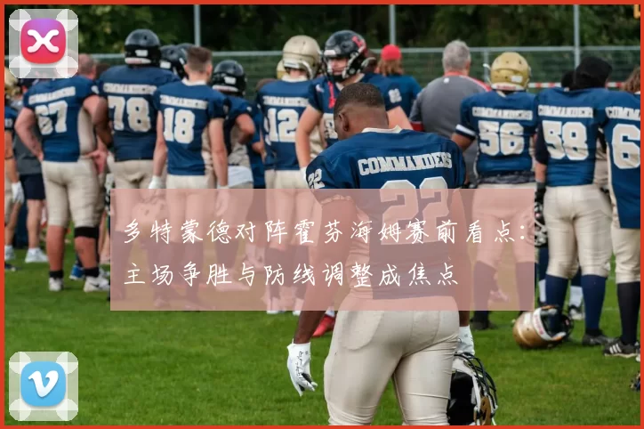 多特蒙德对阵霍芬海姆赛前看点：主场争胜与防线调整成焦点