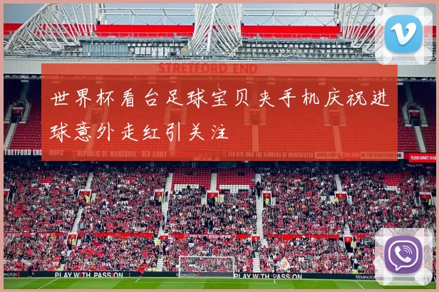 世界杯看台足球宝贝夹手机庆祝进球意外走红引关注