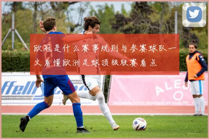 欧冠是什么赛事规则与参赛球队一文看懂欧洲足球顶级联赛看点