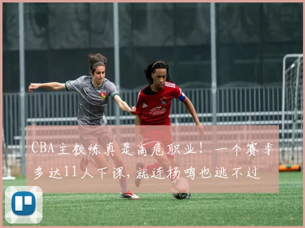 CBA主教练真是高危职业！一个赛季多达11人下课,就连杨鸣也逃不过