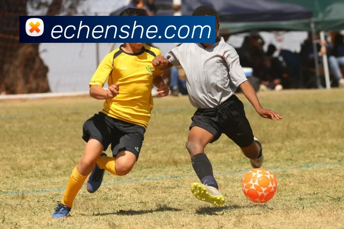 星空体育网址入口服务体系